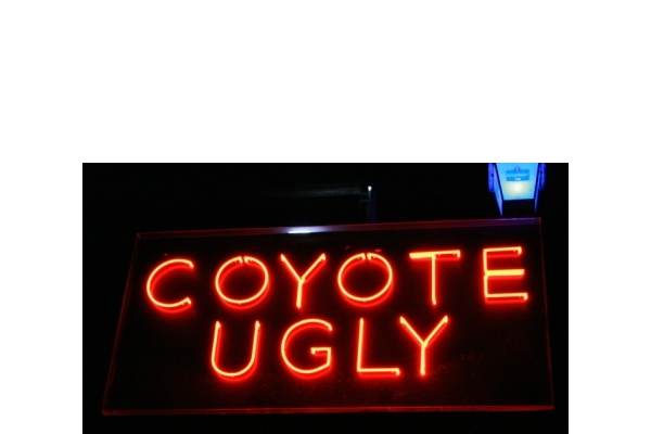 Coyote Ugly Koblenz