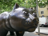 El gato de Botero, Barcelona